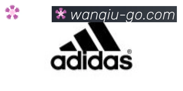 玩球直播合作伙伴